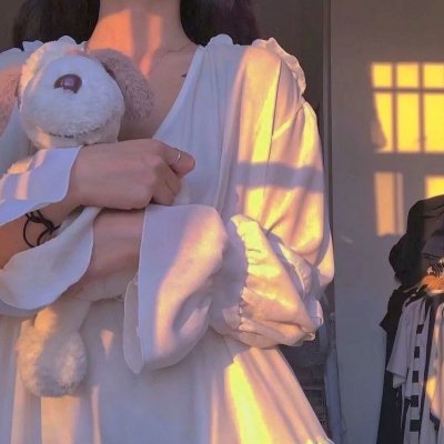 监察局长